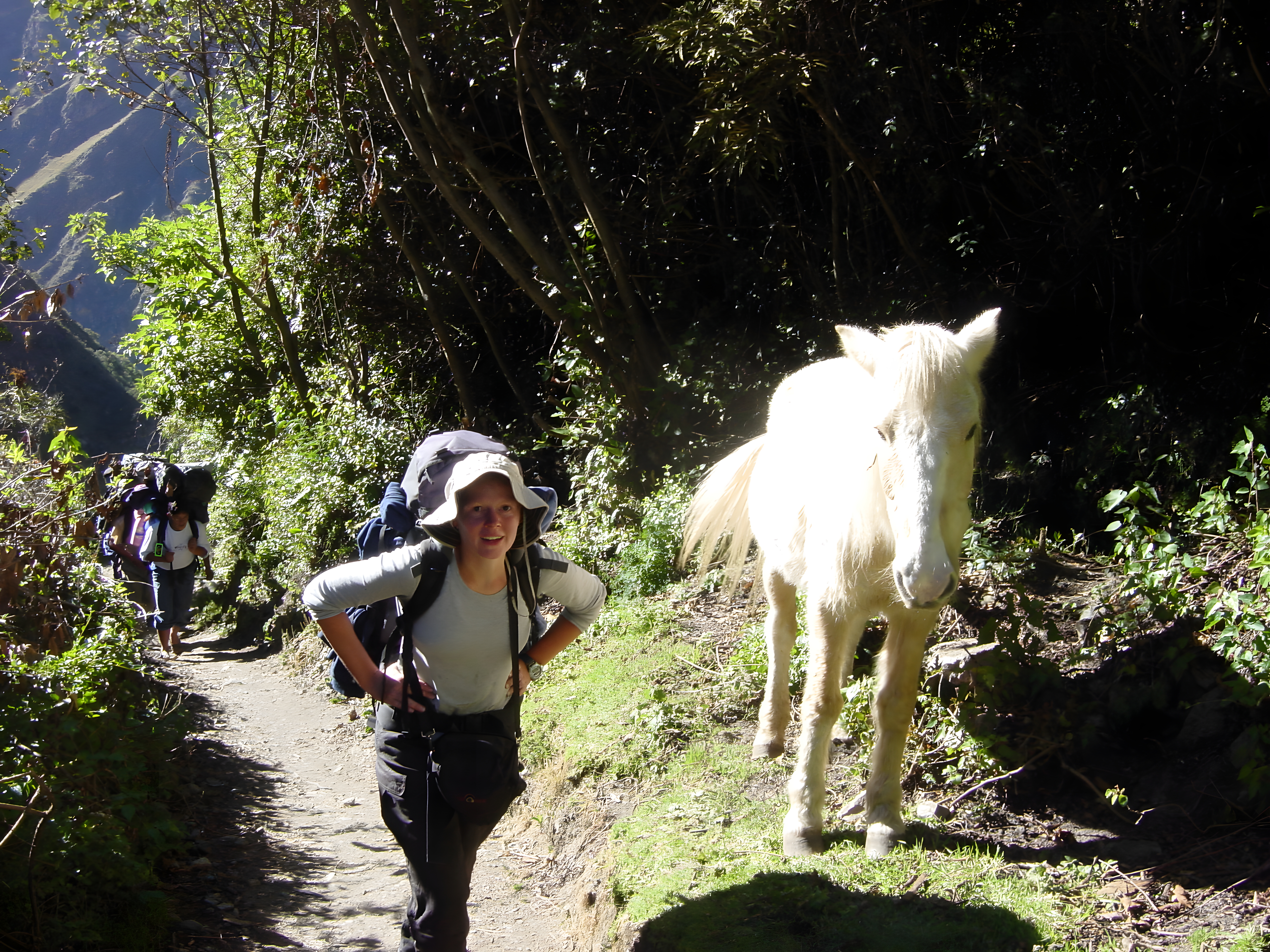 Inca