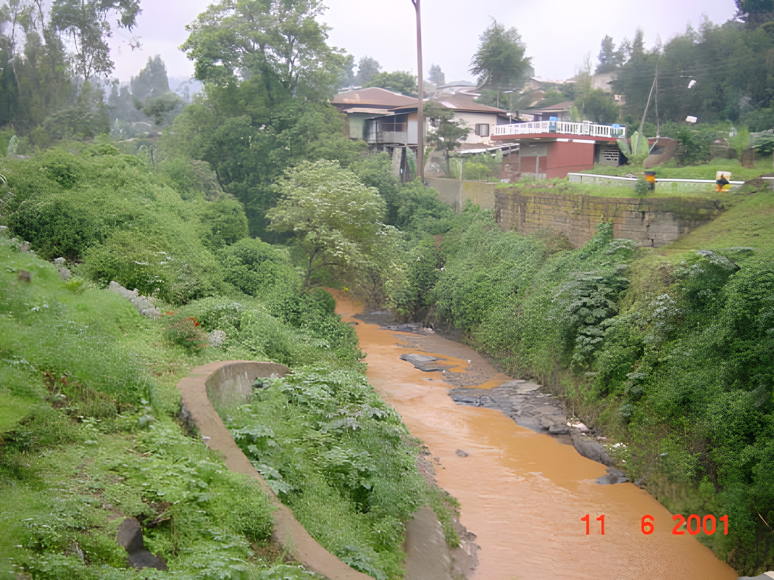 Addis