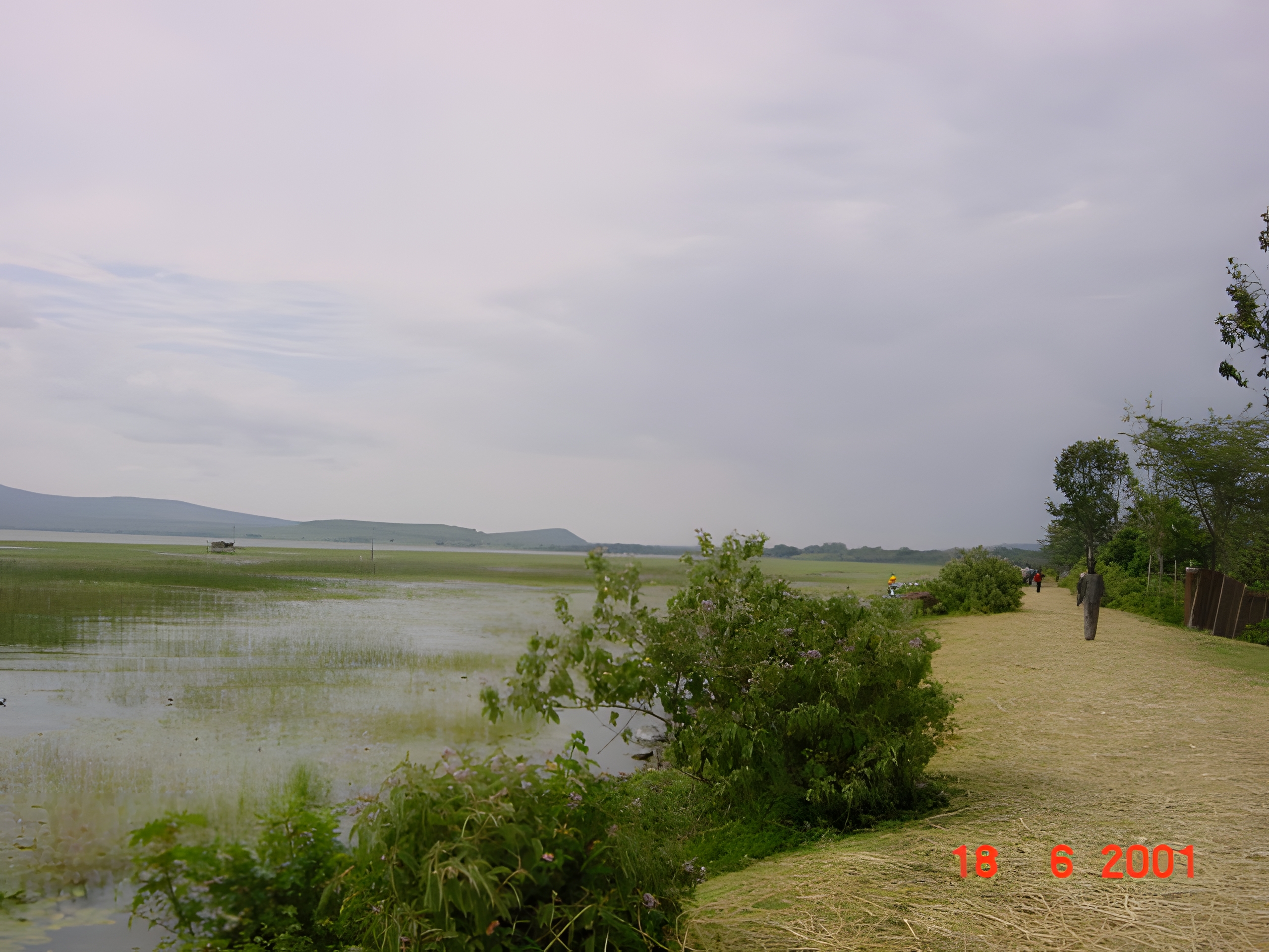 Awasa