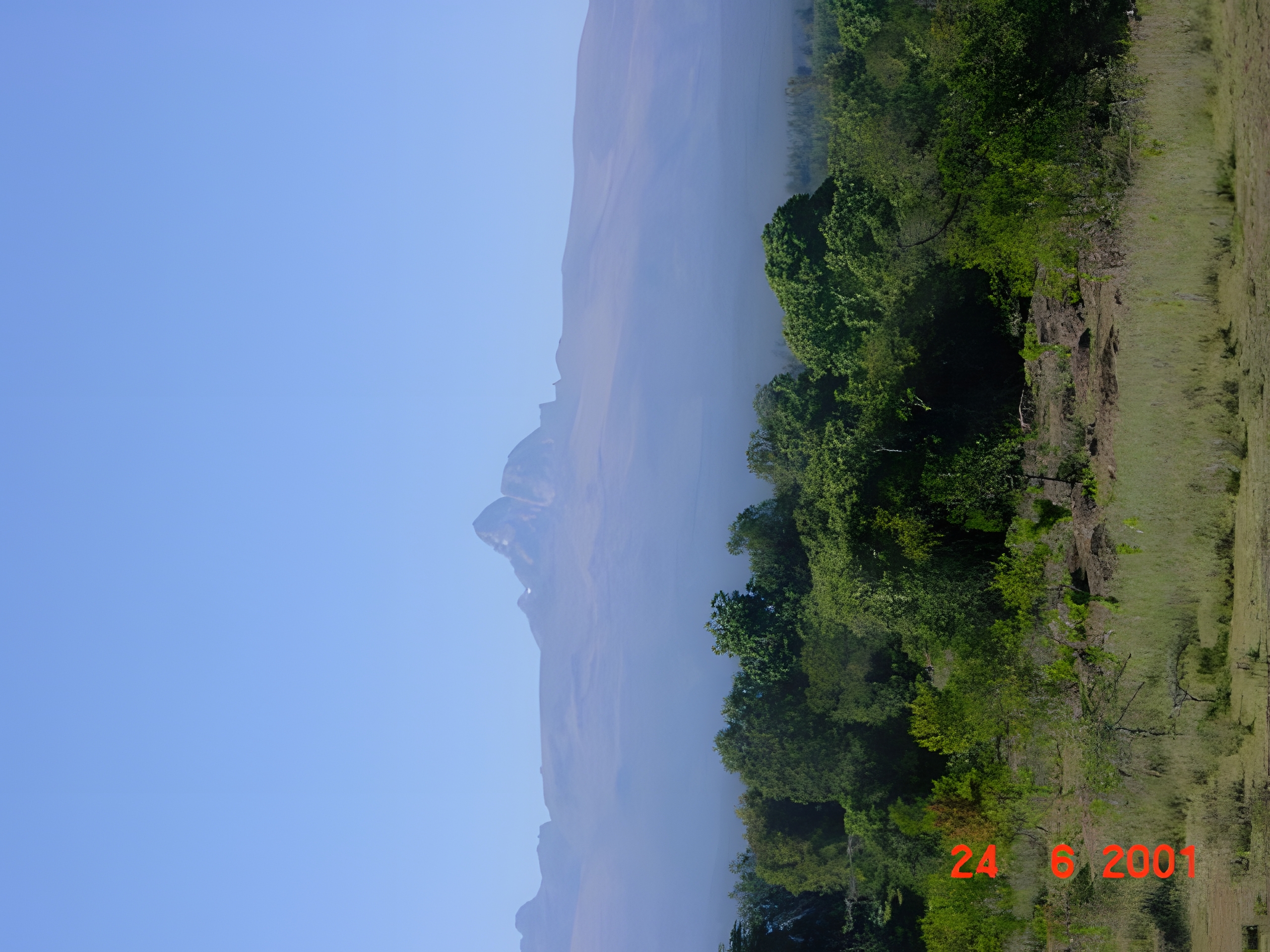 Mtkenya