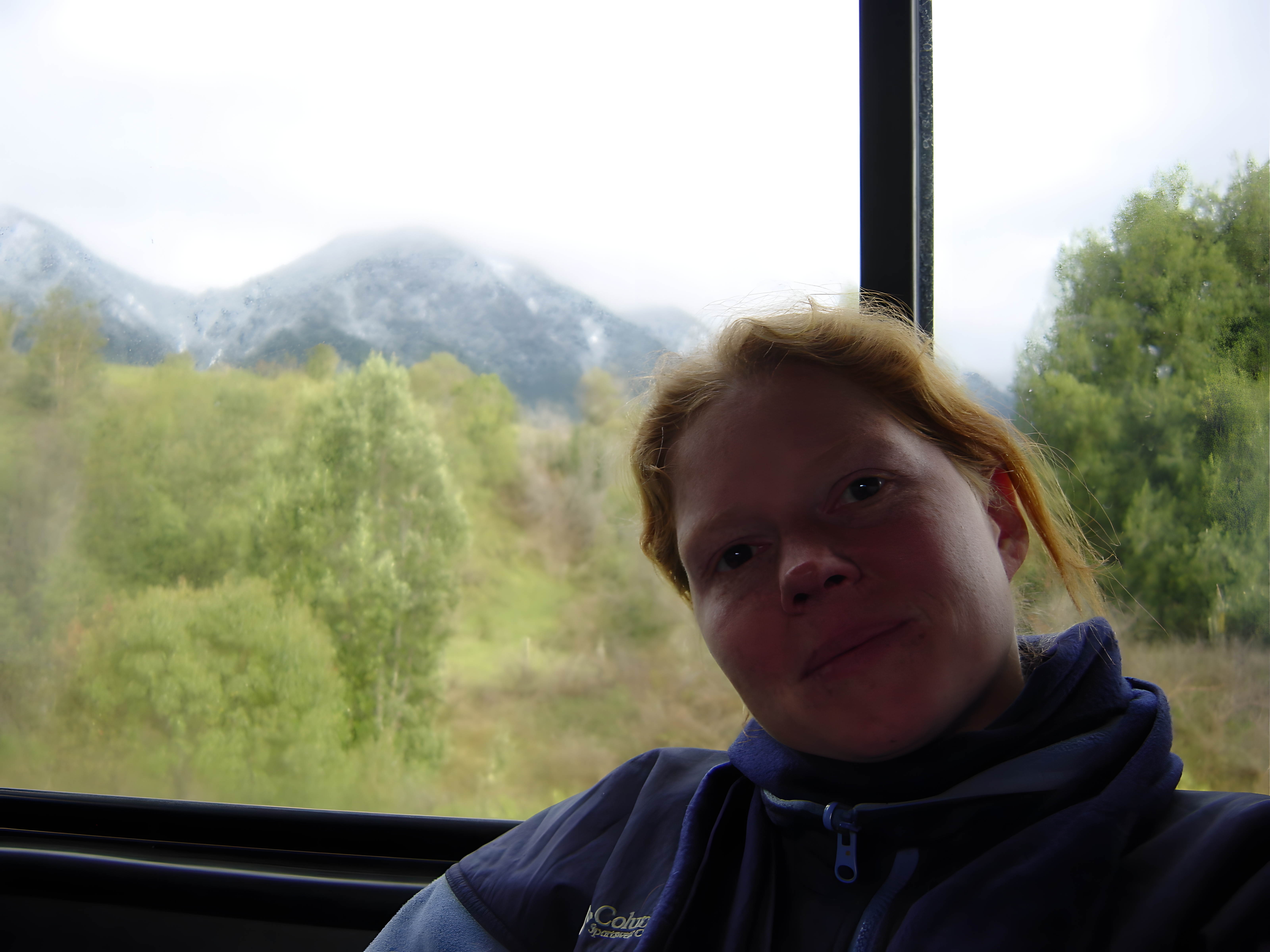Bus