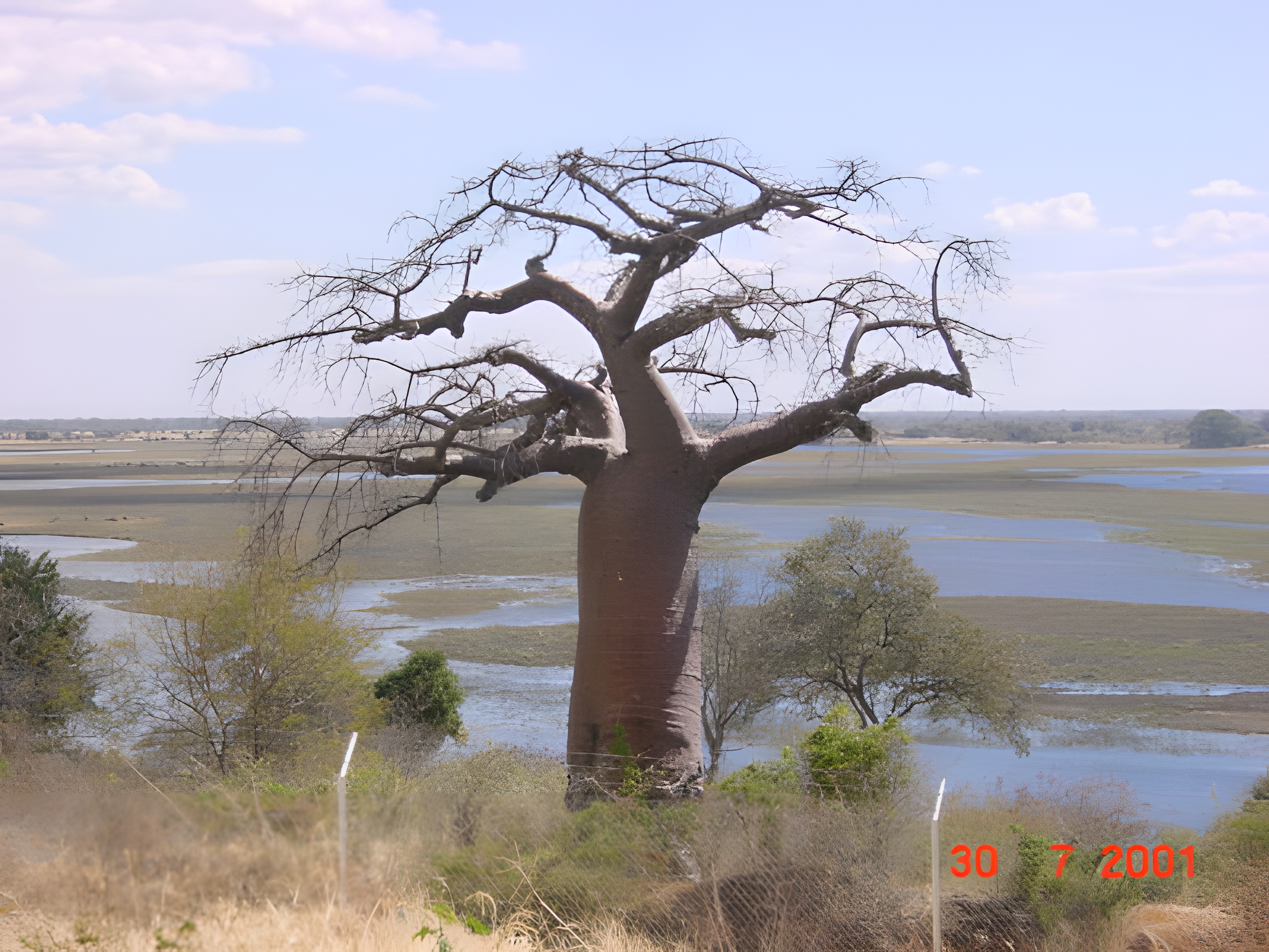 Chobe
