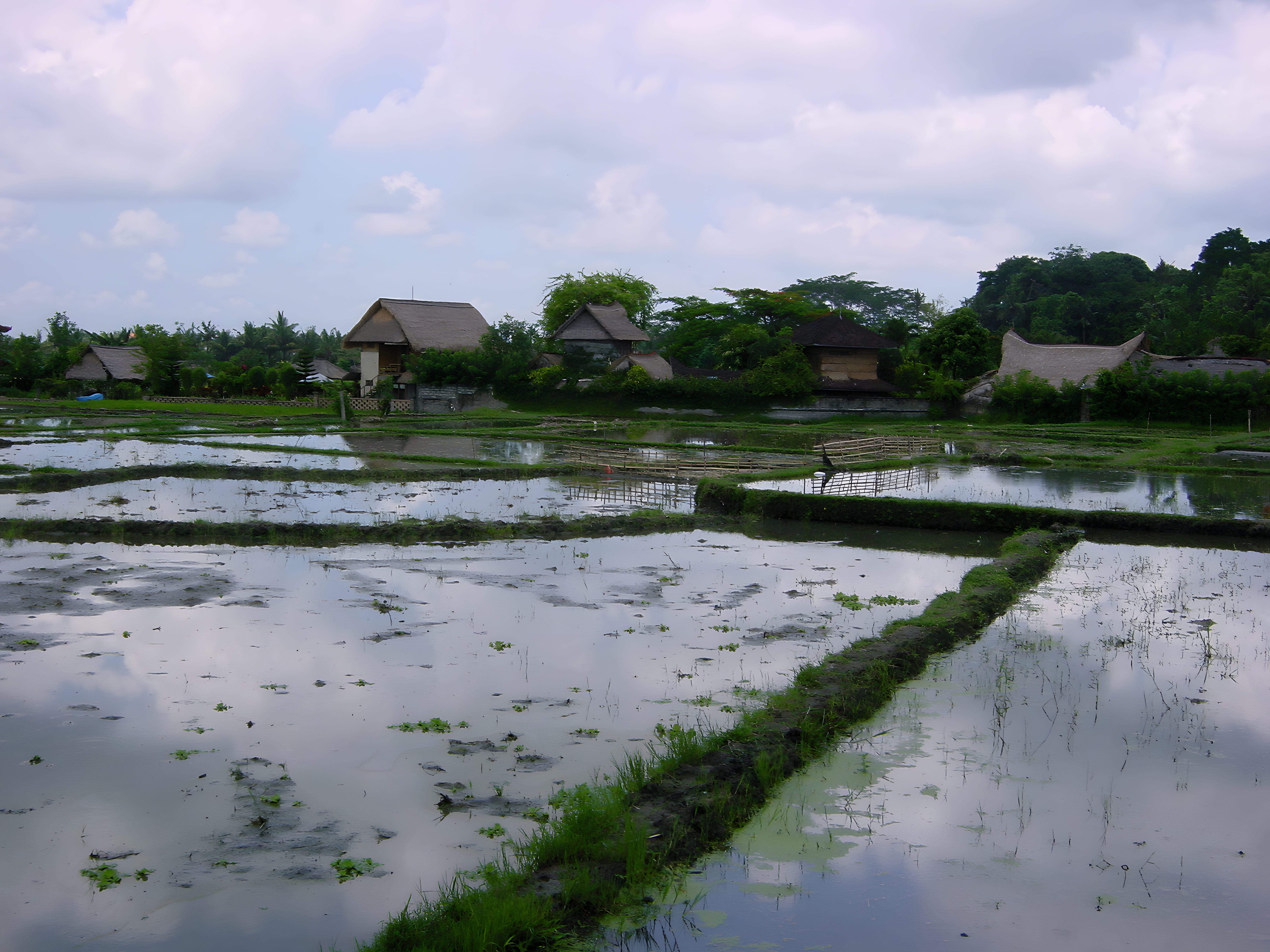 Ubud