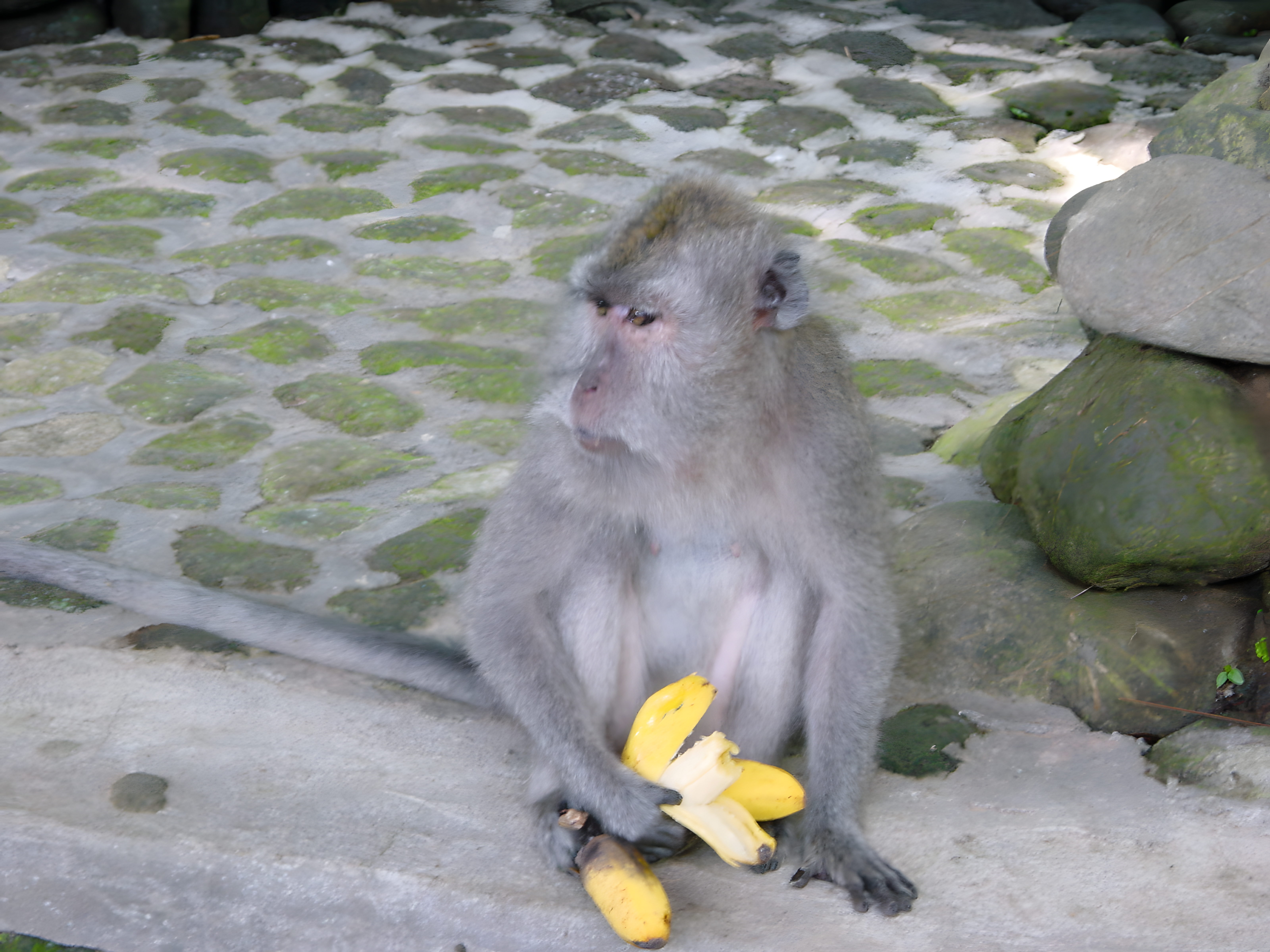 Ubud